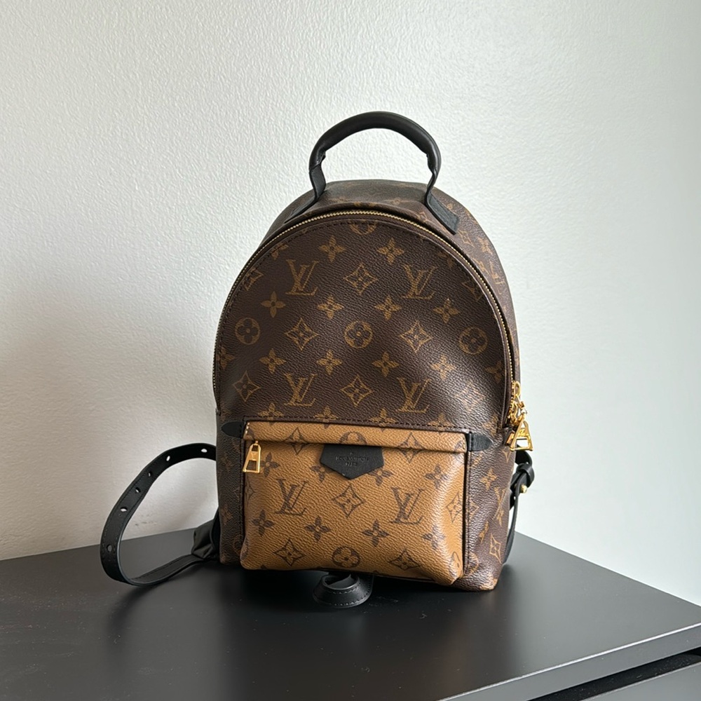 Louis Vuitton Reverse Monogram Palm Springs PM backpack
